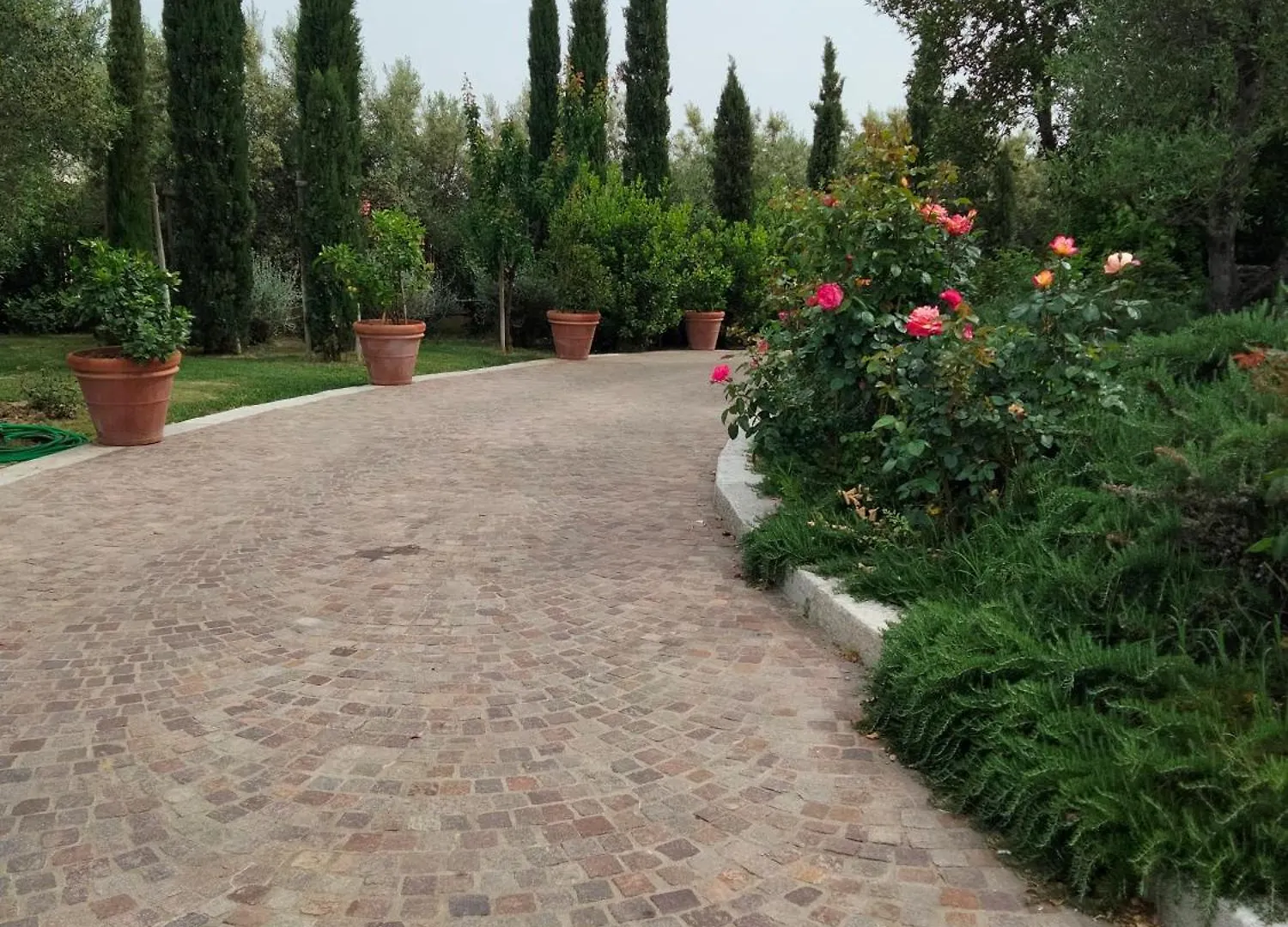 Villa Spaccasole Su Cortona Foiano Della Chiana